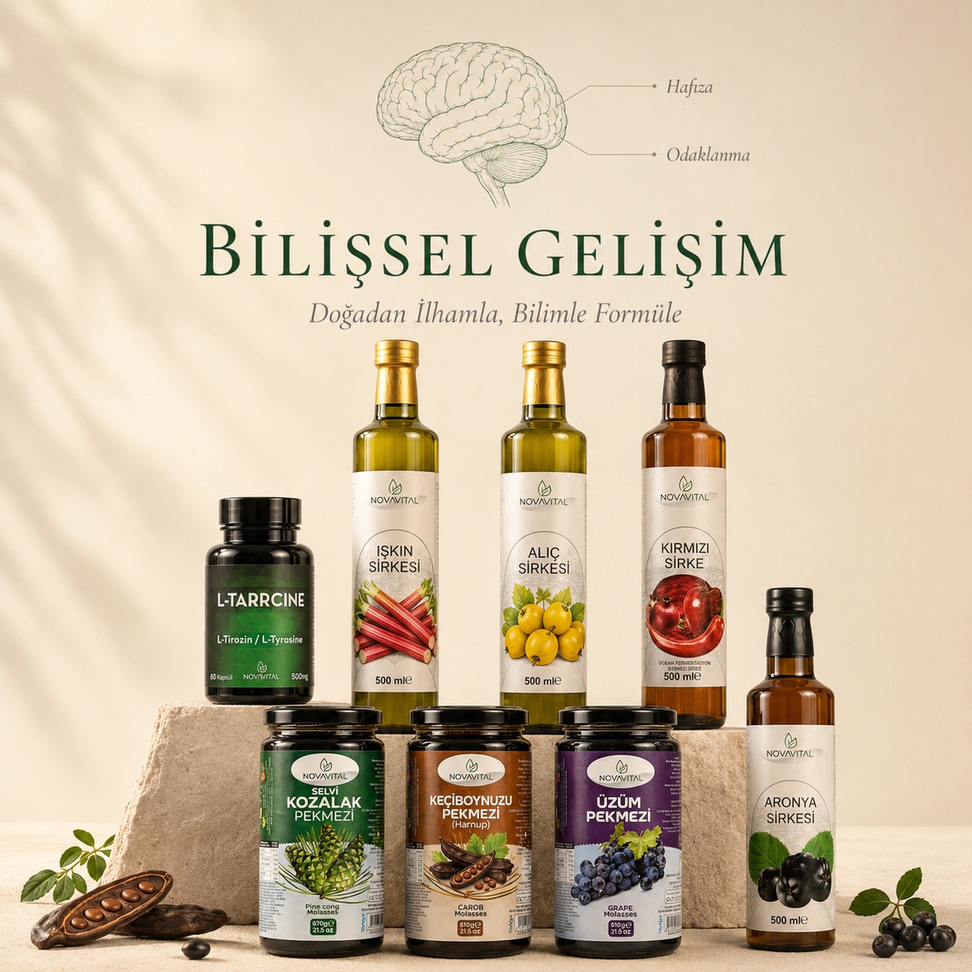 Bilissel_Gelisim_Koleksiyon_Mobil_result.webp