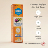 Caganic Nano - Karaciğer Sağlığı Desteği | Efervasan Tablet